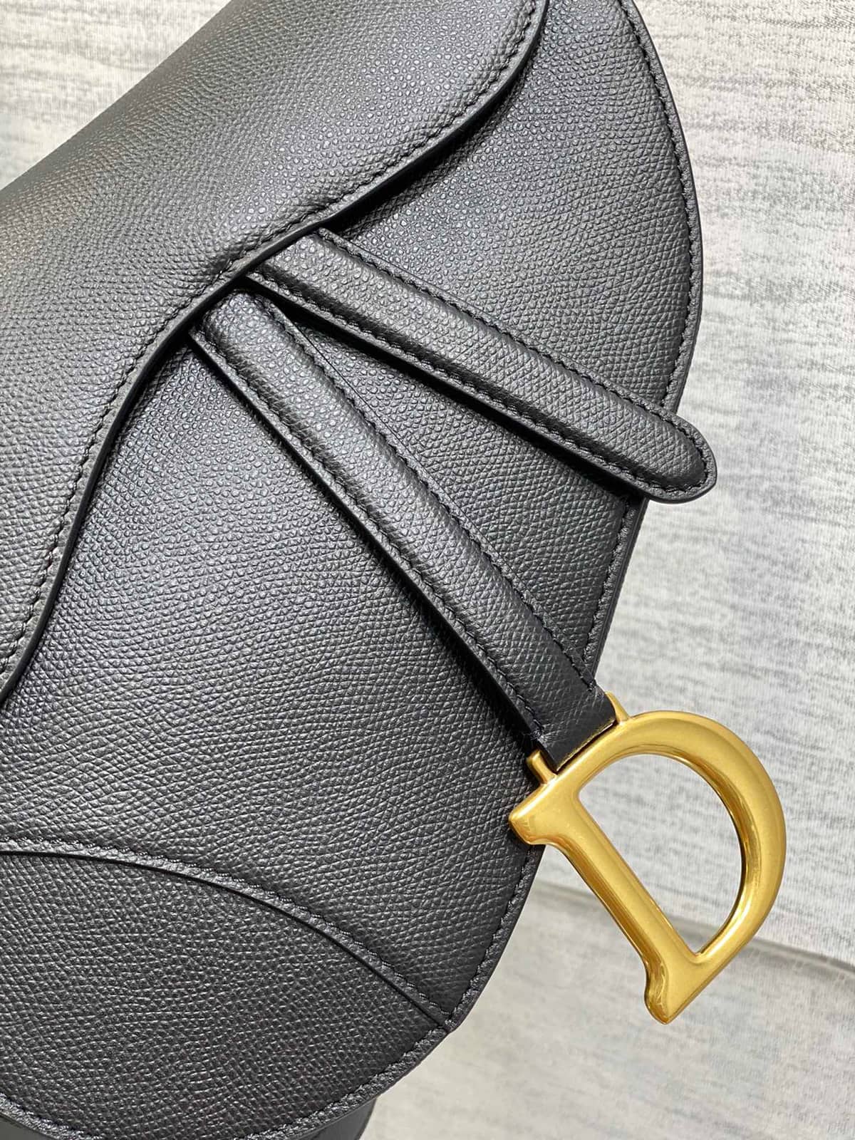 Dior Saddle Bag 2