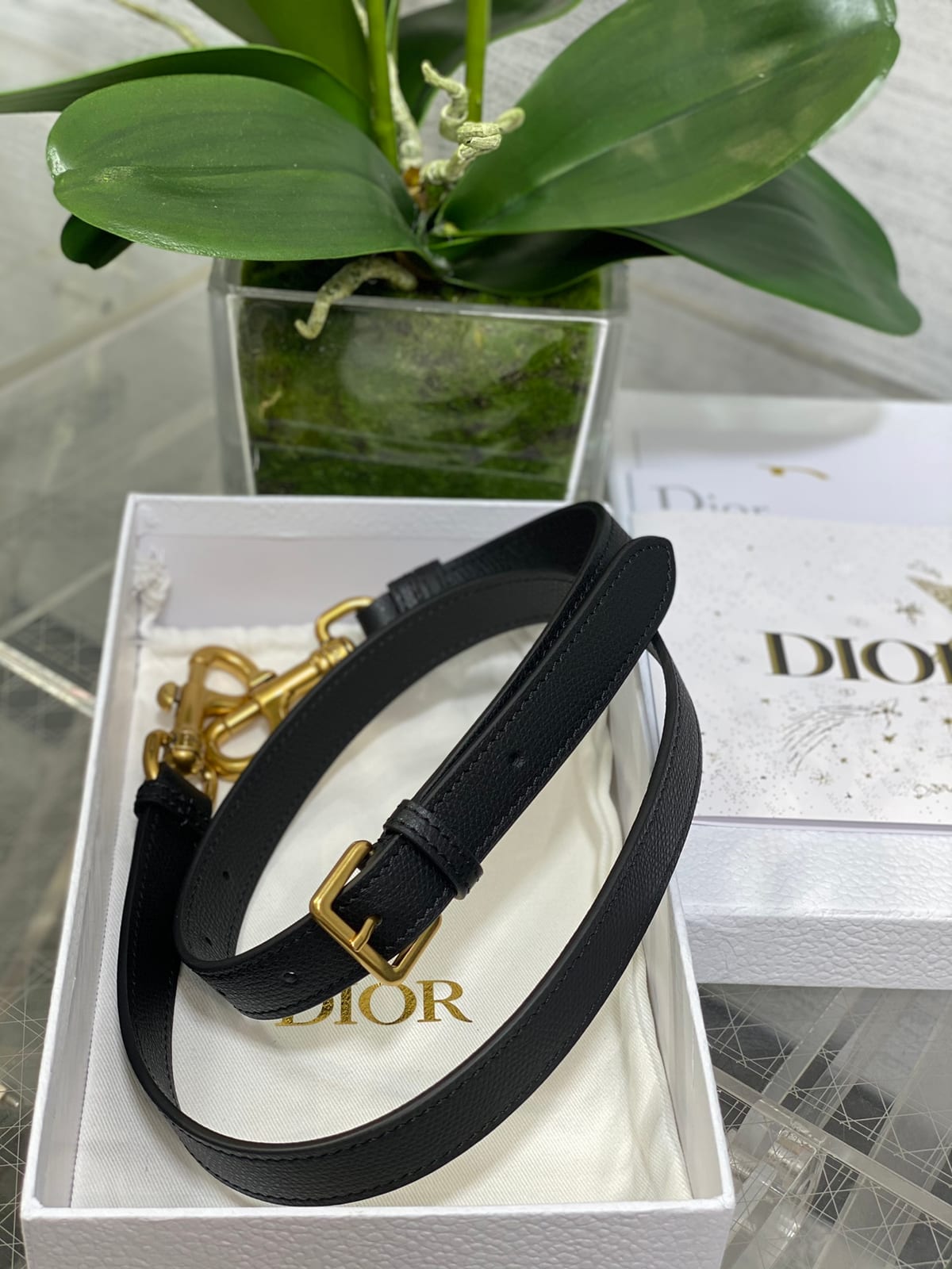 Dior Saddle Bag 8