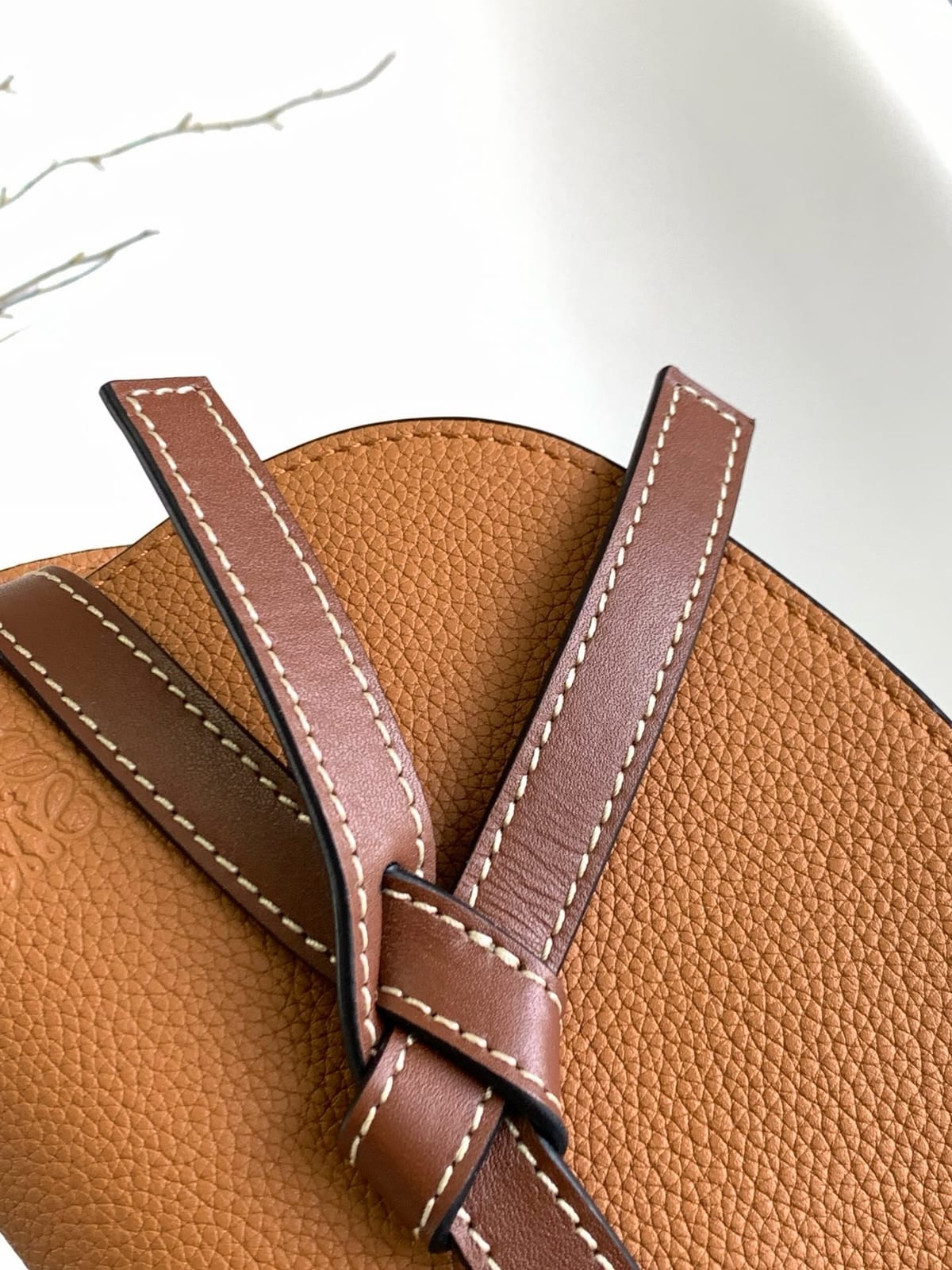  Loewe Gate Dual Mini Bag 8