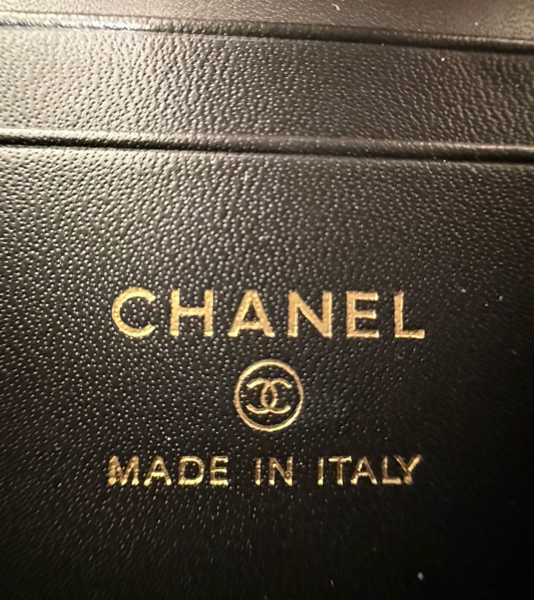 Chanel Lizard-Embossed Slim Vanity Case / Lunch Bag 6