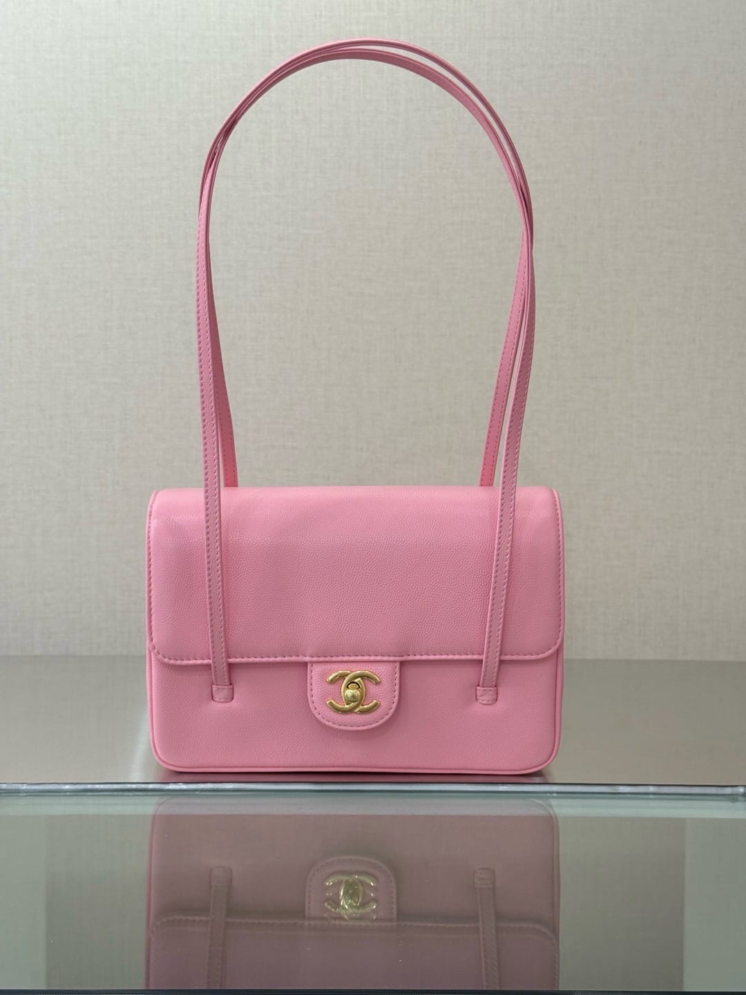 Chanel preppy coco Bag