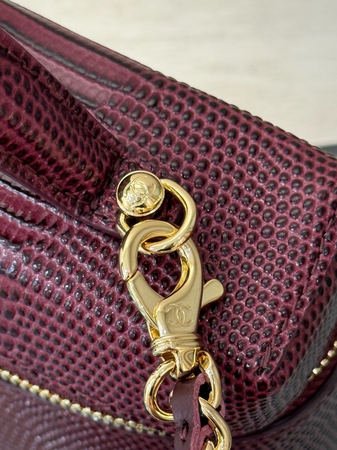 Chanel Lizard-Embossed Slim Vanity Case 4