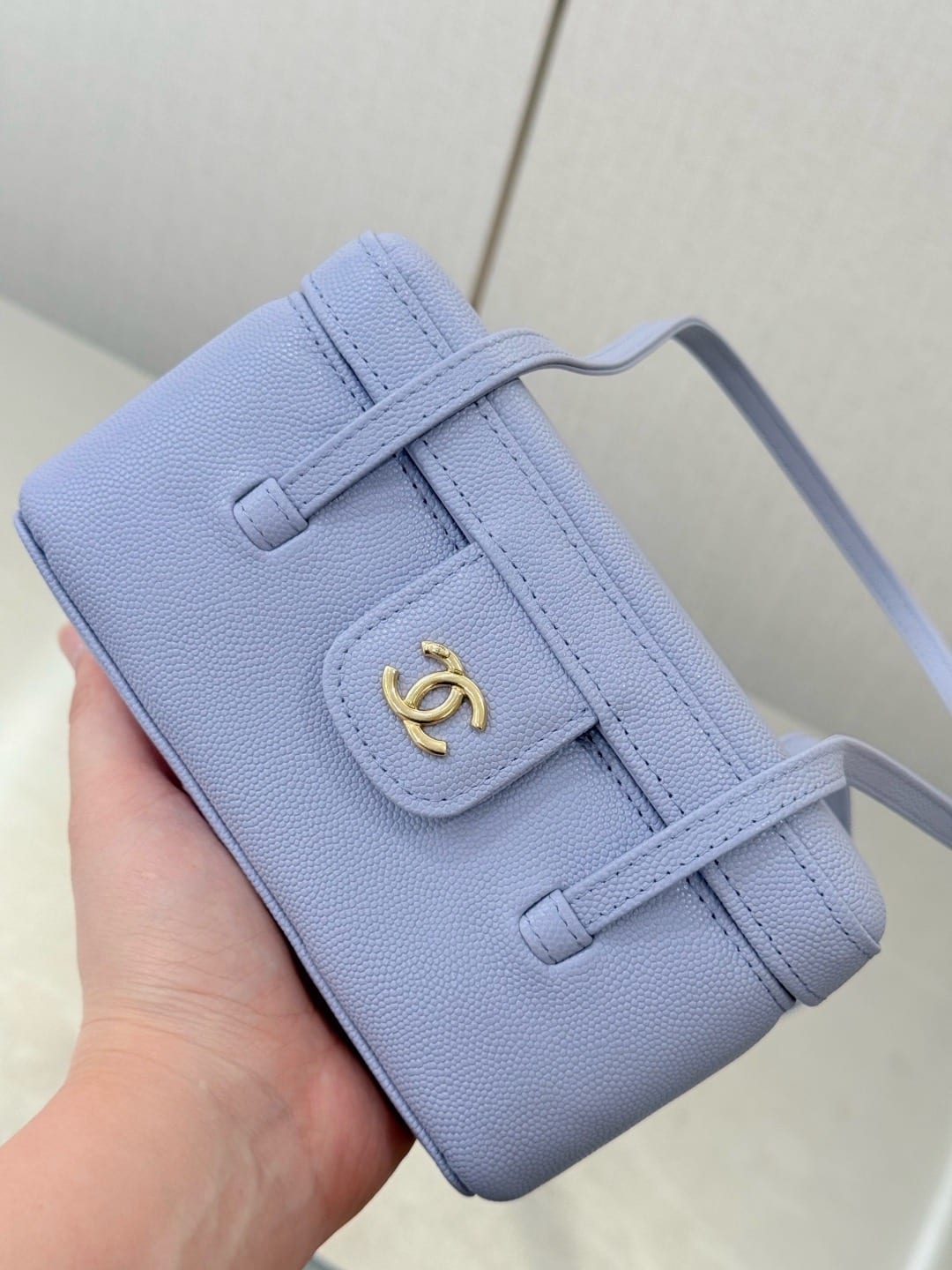 Chanel Large Supple Vanity Case with Double Leather Straps 5
