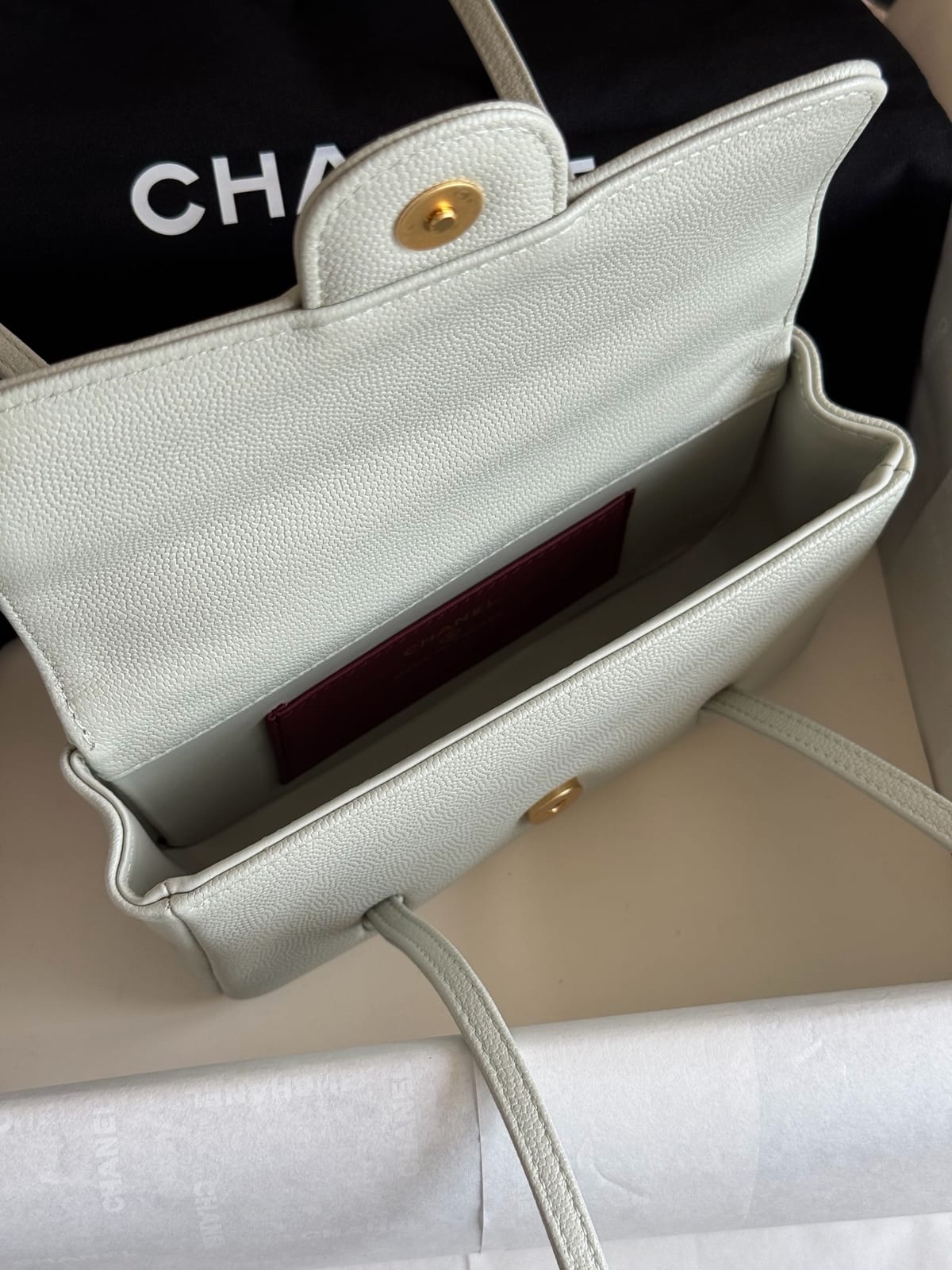 Chanel Sage Green Preppy Coco Clutch with Straps 4