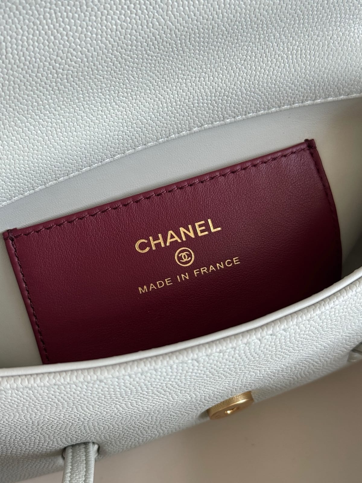 Chanel Sage Green Preppy Coco Clutch with Straps 5