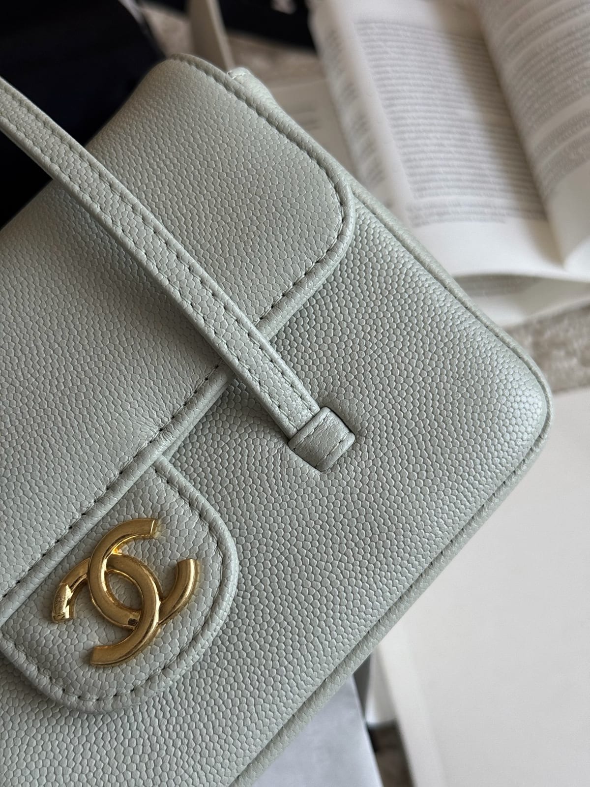 Chanel Sage Green Preppy Coco Clutch with Straps 7