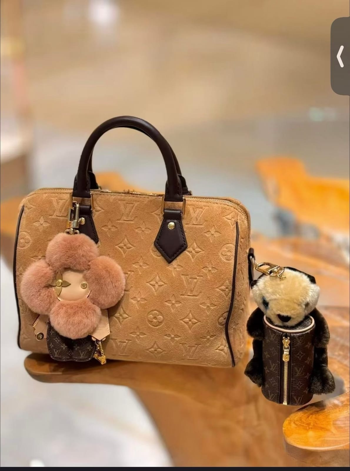 Louis Vuitton Speedy Bandoulière 25 